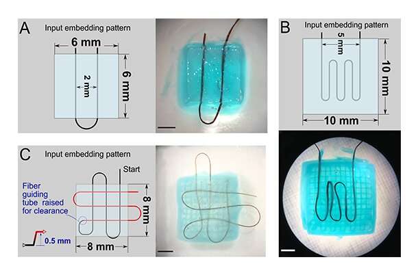 Hydrogels pave way for future of soft robotics