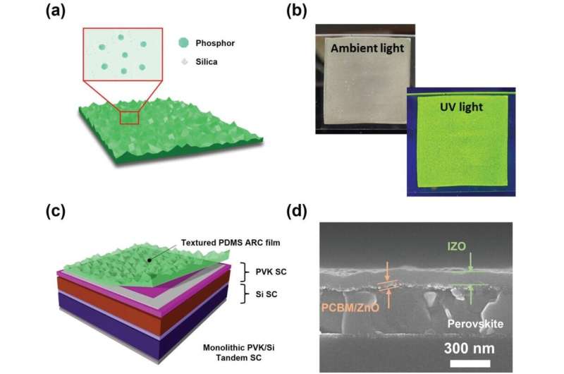 New study finds ways to improve light absorption in perovskite/si tandem solar cells