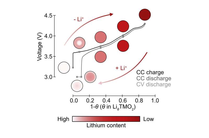 Watching lithium in real time could improve performance of EV battery materials