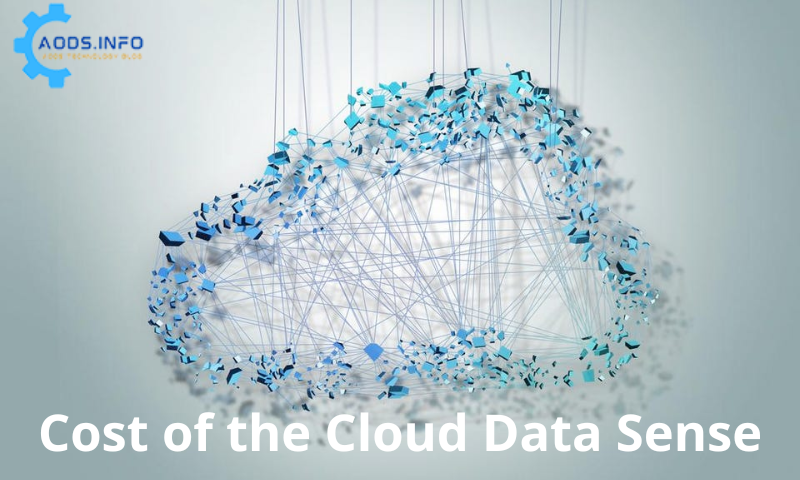 Cost of the Cloud Data Sense