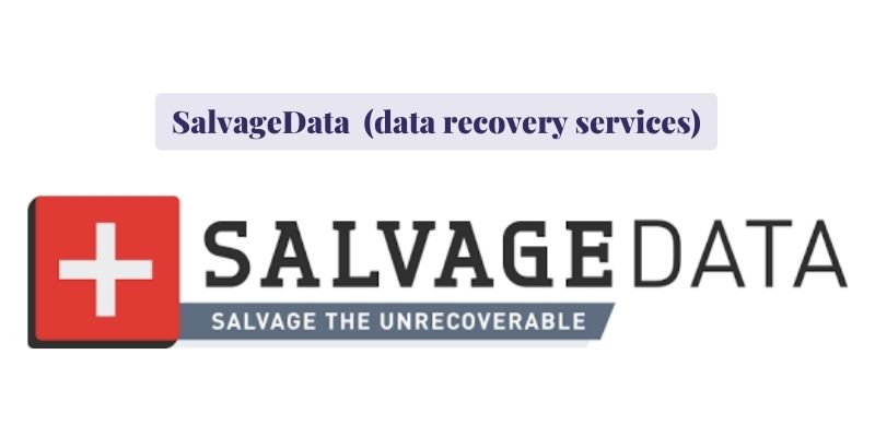 SalvageData (data recovery services)