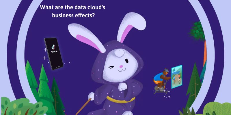 Salesforce Data Cloud : What are the data cloud's business effects?