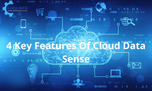 4 Key Features Of Cloud Data Sense