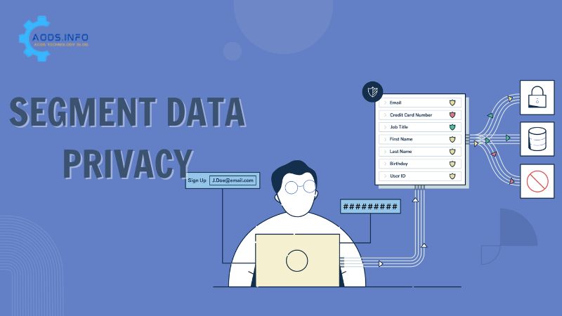 Segment Data Privacy