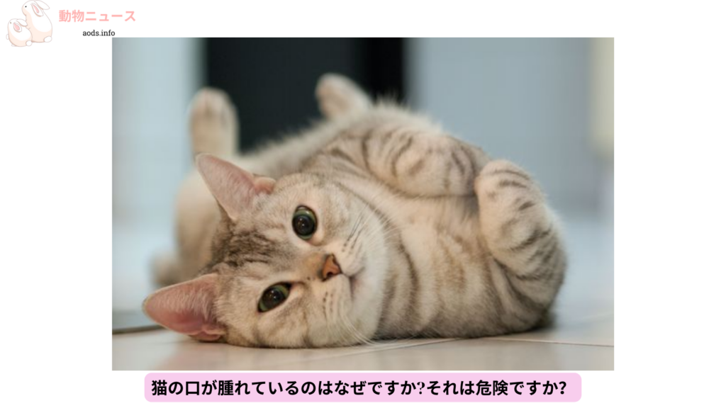 猫の口が腫れているのはなぜですかそれは危険ですか？