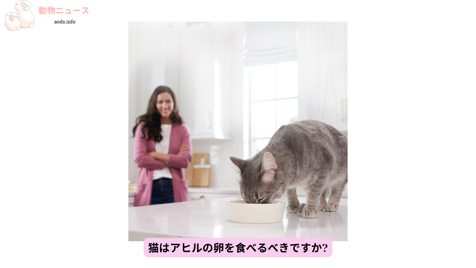 猫はアヒルの卵を食べるべきですか