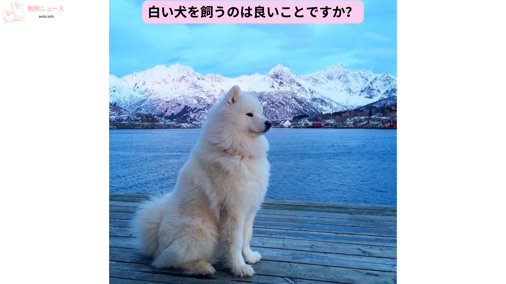 白い犬を飼うのは良いことですか？